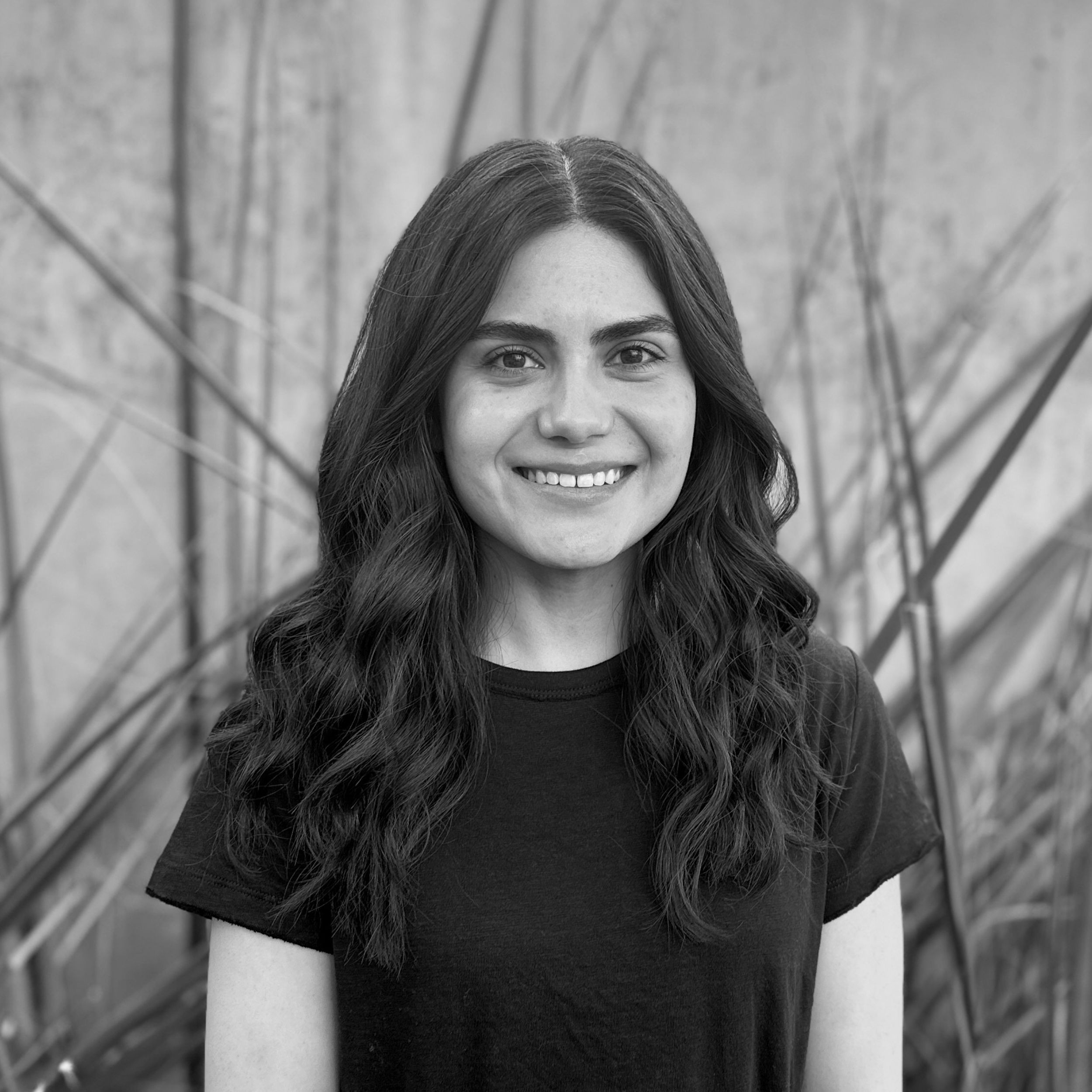 The image of the Tiffany Valenzuela project