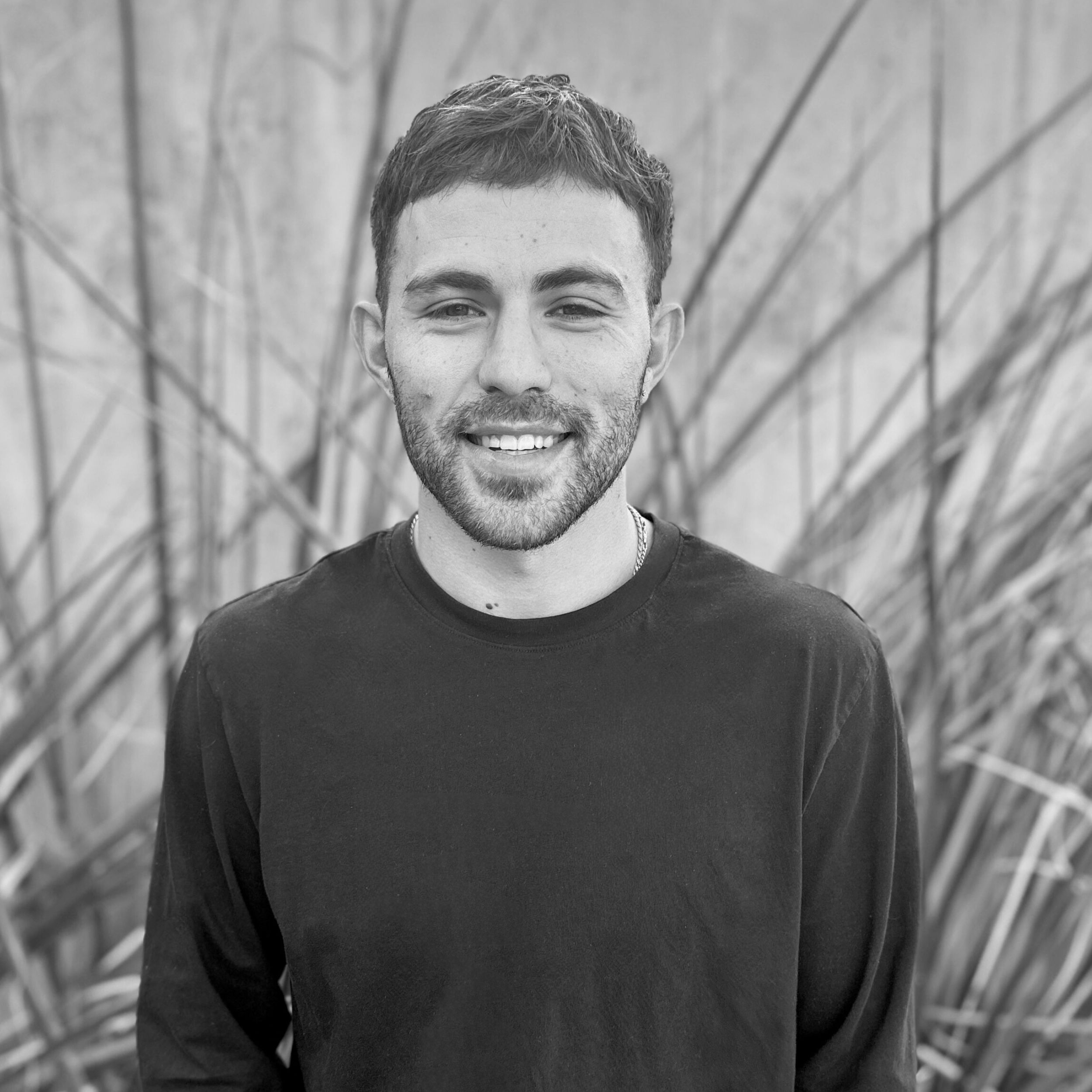 The image of the Jake Reyes project