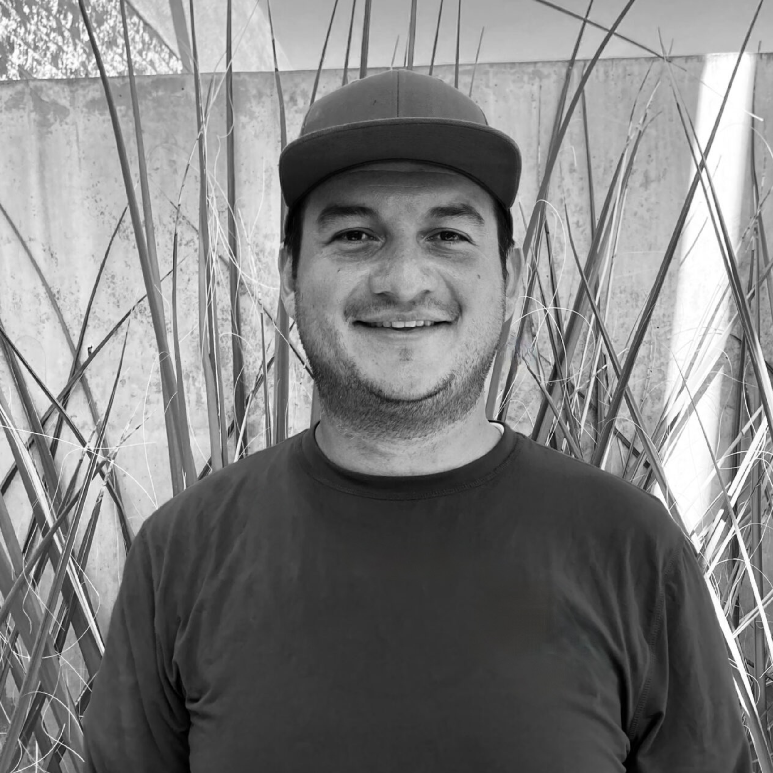 The image of the Gerald Green project