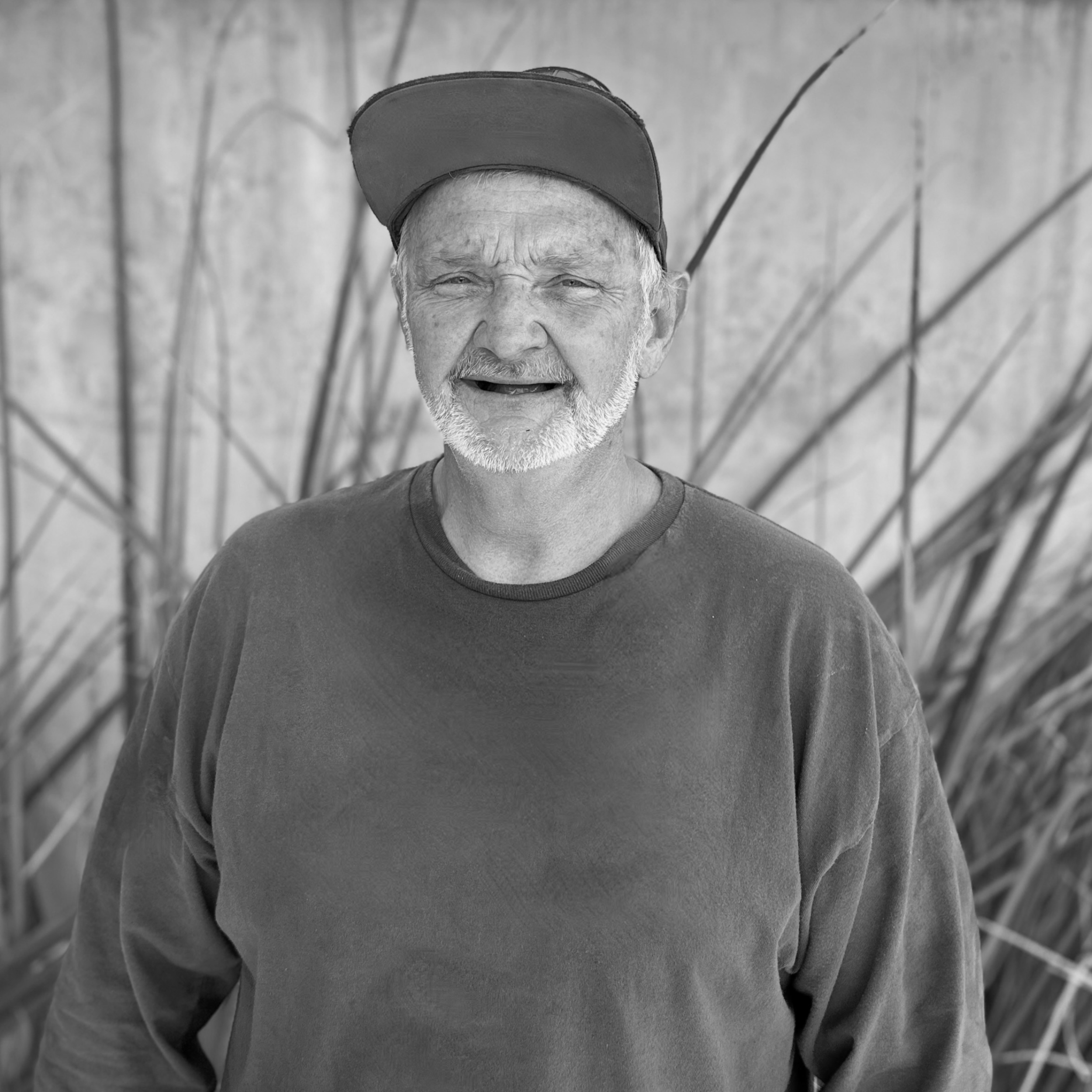 The image of the Jeff Spivey project