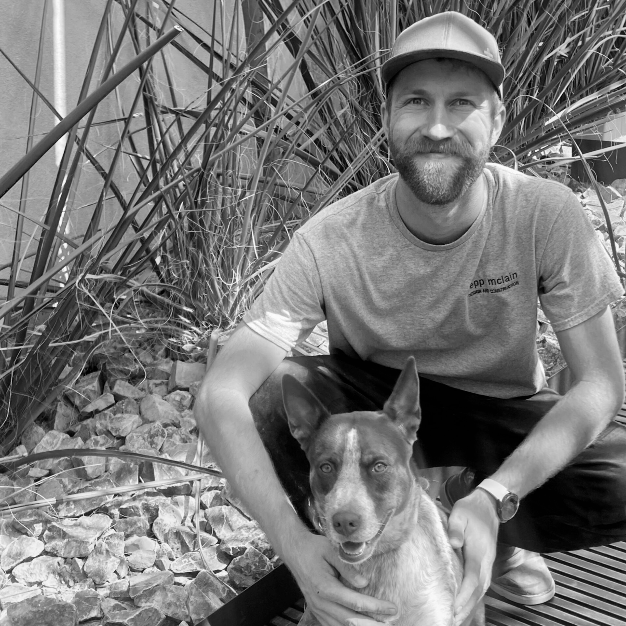 The image of the Lucas Trautman project