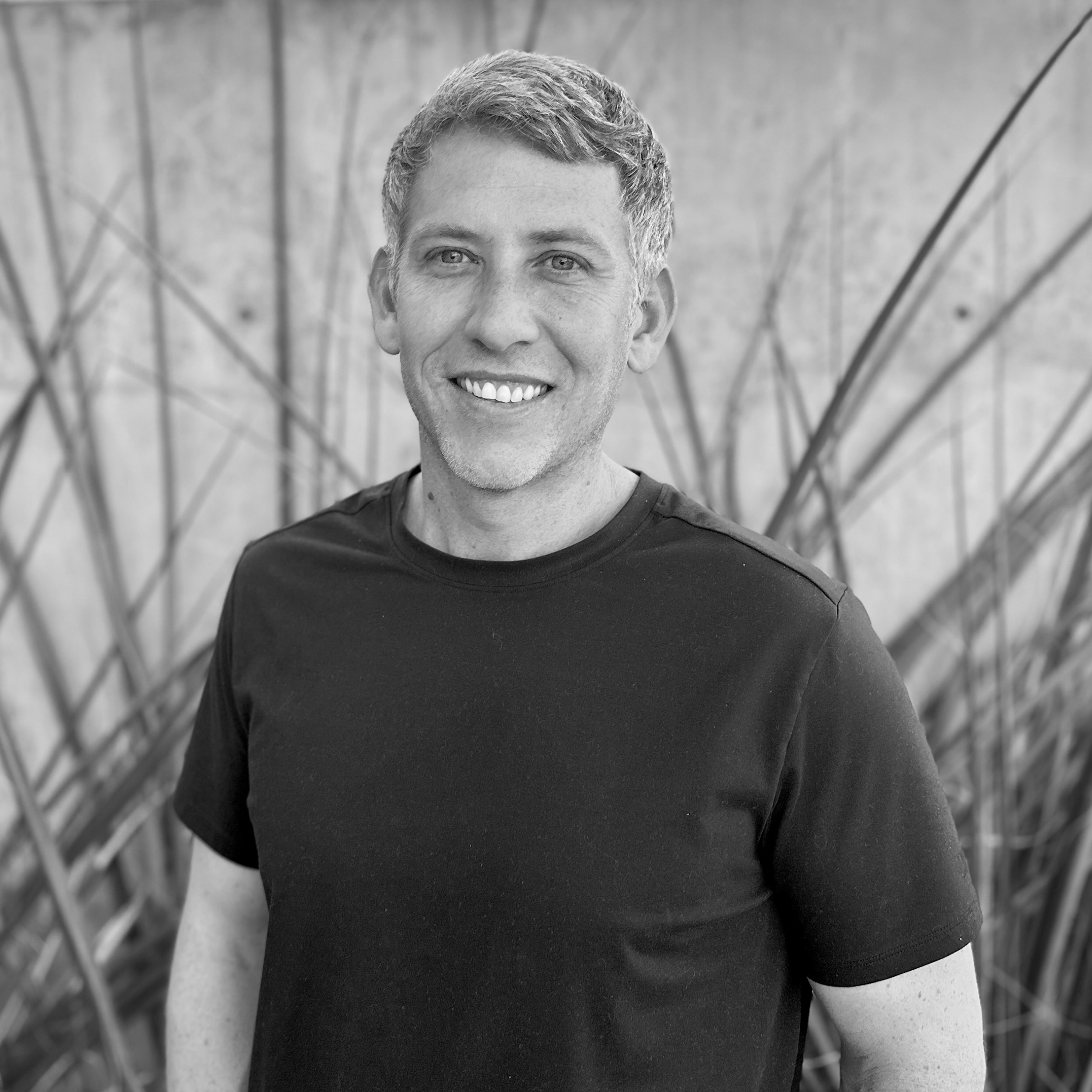 The image of the Shane Dean project